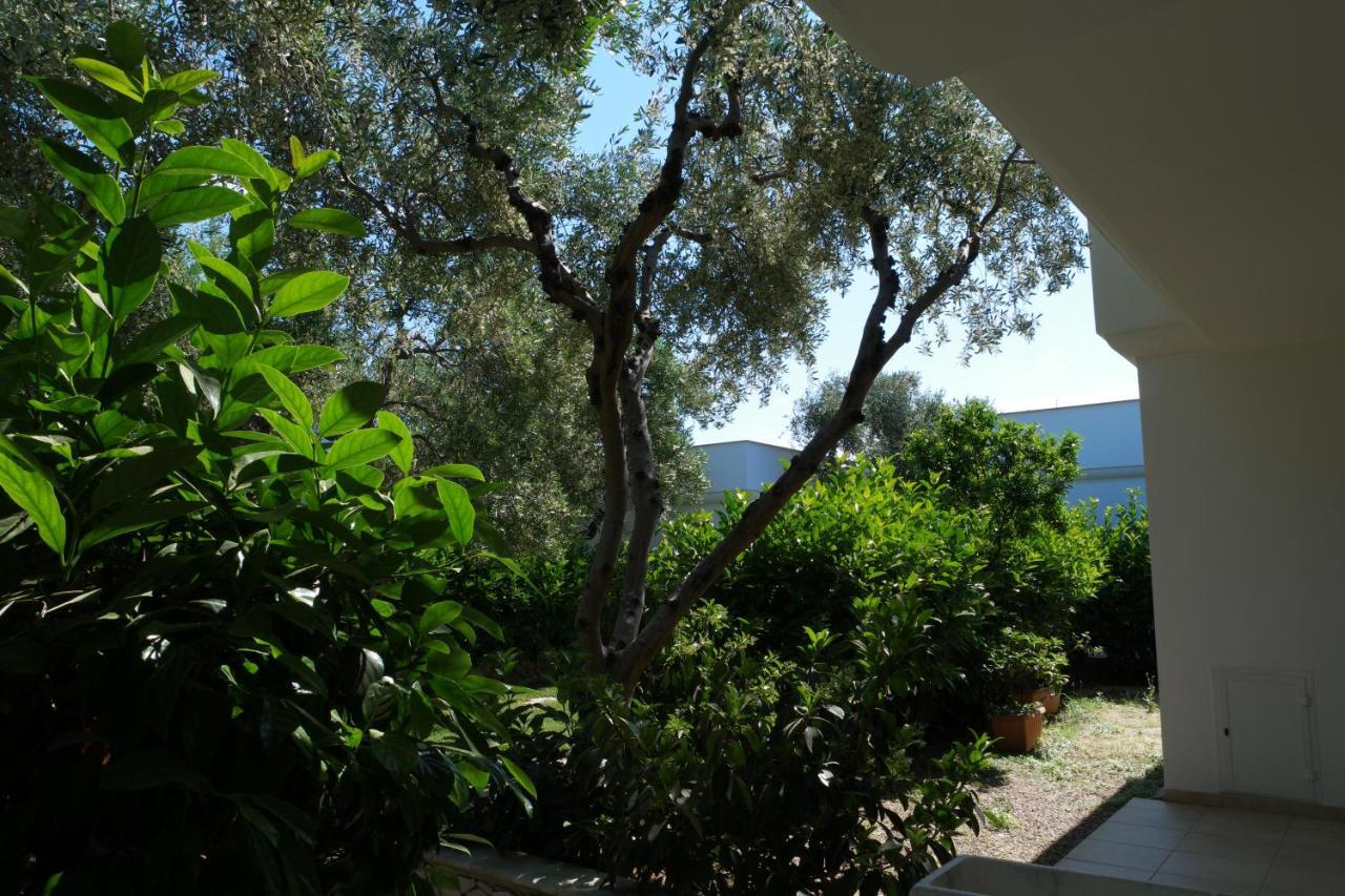 Villaggio San Matteo Resort Mattinata Esterno foto